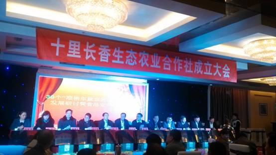 走過十里長川，拉開“十里長香”品牌的序幕